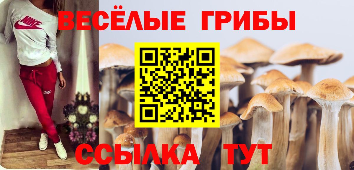 Галлюциногенные грибы мухоморы Донецк